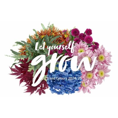 Compression Stockings Juzo Inspiration Vision Trend Colors