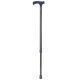 Ossenberg walking stick carbon with Fritz handle adjustable