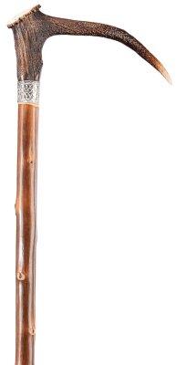 Gastrock Walking stick staghorn chestnut