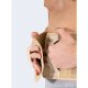 Rückenbandage Schiebler Para Lumbal Soft