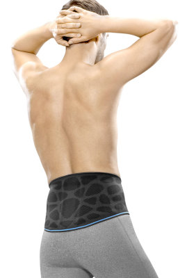 Back support ofa Dynamics Plus lumbar support 1