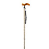Gastrock Walking Stick Comfort Stick Paisley