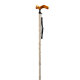 Gastrock Walking Stick Comfort Stick Paisley