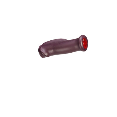 aubergine